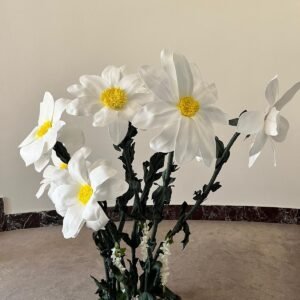 Eva Dev Çiçek Papatya Tasarımı